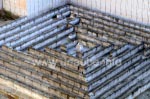 Das Labyrinth