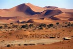 Dünenlandschaft am Sossusvlei