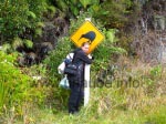 Auf dem Rakiura Track auf Stewart Island habe ich leider keinen Kiwi gesehen.