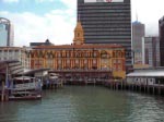 Der Hafen von Auckland mit seinem Wahrzeichen, dem Ferry Building