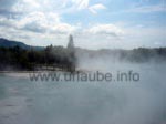 Dampfende Nebelschwaden steigen über dem heißen See im Kuirau Park auf.