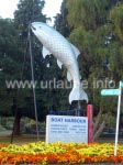 Stadt der Forellen: Aus dem einzigartigen Fischrevier um den Lake Taupo werden jährlich rund 28.000 Fische geangelt.