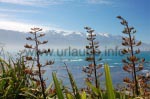 Der Lookout zu Beginn des Klippenweges: Mit Abstand der schönste Blick auf Kaikoura und die Umgebung