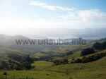 Blick auf die Küste und Akaroa Harbour