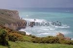 Einen tollen Ausblick auf die Küste hat man vom Tunnel Beach Walkway.