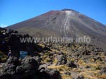 Der Mt. Ngauruhoe dient als Schicksalsberg im Film Herr der Ringe.