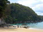 Die Buchten auf dem Abel Tasman Coastal Track sind wunderschön.