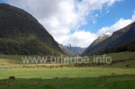 Die Natur im Siberia Valley ist noch absolut unberührt.