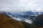 Kurzer Ausblick auf die Ausläufe des Milford Sounds.