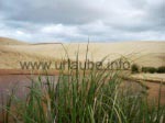 Die Te Paki Giant Sand Dunes am Ninety Mile Beach