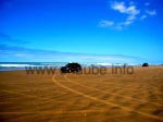 Das Fahren mit Privatwagen oder im Rahmen einer geführten Tour ist am Ninty Mile Beach erlaubt.