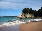 Der Strand der Cathedral Cove nahe Hahei