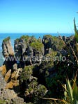 Die Pancake Rocks bestehen aus Dolomite-Point-Kalkstein.