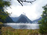 Der Mitre Peak ist mit 1.694 Meter der markanteste und höchste Berg im Milford Sound.