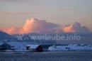 Hurtigruten