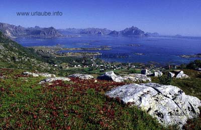 Naturparadies Lofoten