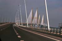 Vasco da Gama