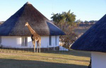 Südafrika