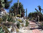 Le jardin exotique sur le sommet de la colline