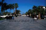 Promenade piétoniére á Puerto de la Cruz