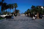 Promenade piétoniére á Puerto de la Cruz