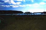 La plage de Los Cristianos avec un port de pêche et bac