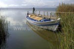 Am See in der Albufera