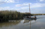 Bootstour in der Albufera