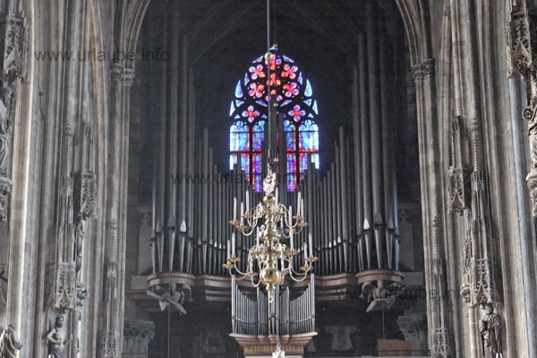 Die Riesenorgel im Stephansdom gehört zu den größten Pfeifenorgeln der Welt