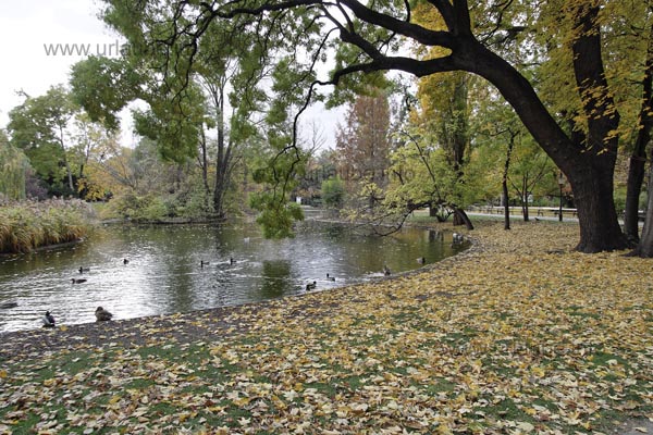 Traumhafte Herbstkulisse im Wiener Stadtpark